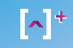 Vertex